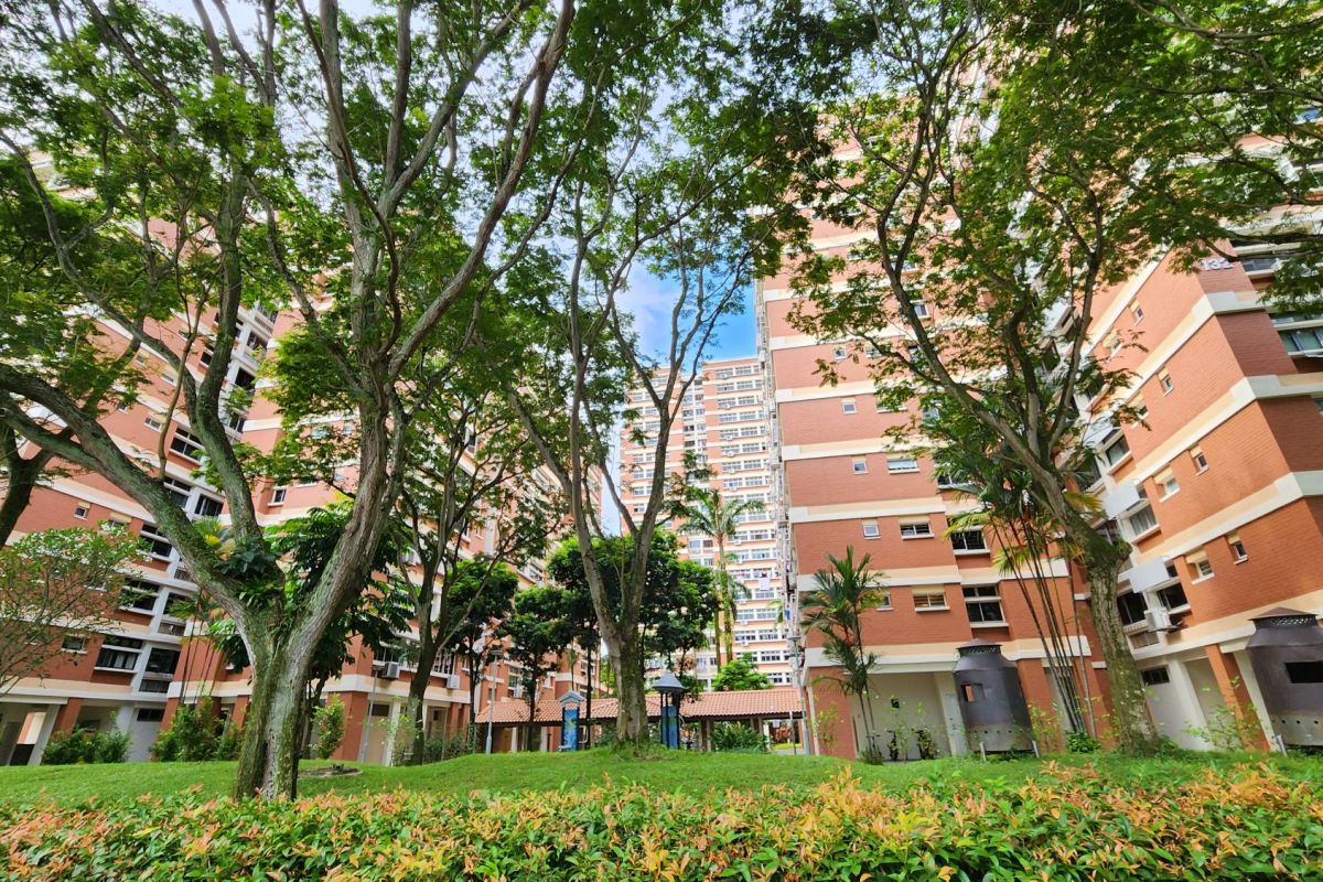 Clarence Ville HDB